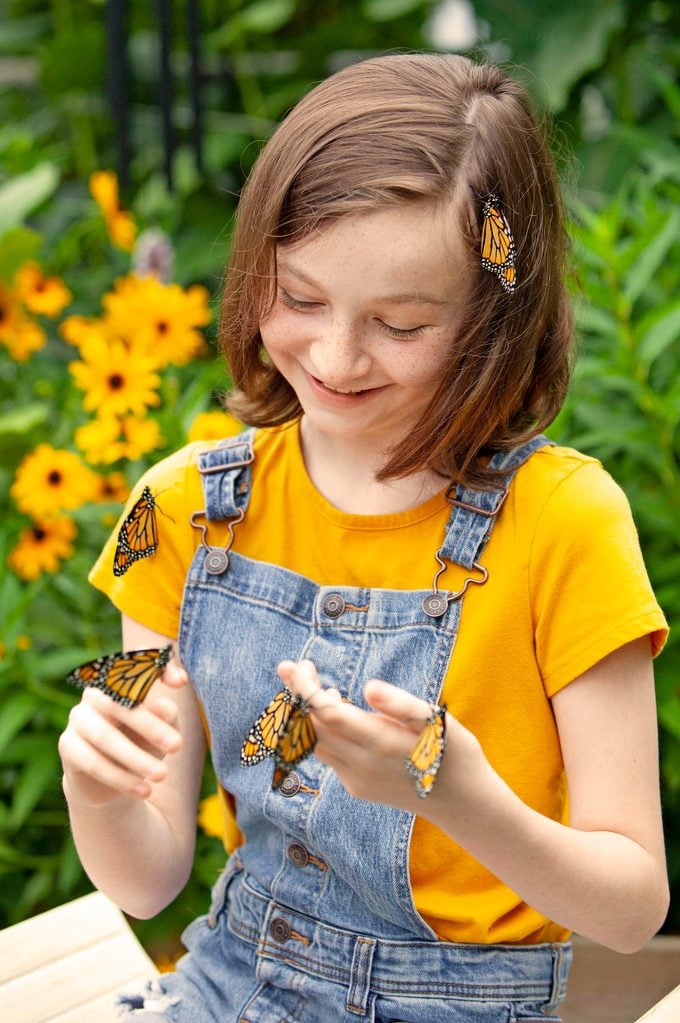 Crianza de mariposas monarca: lo que necesita saber
