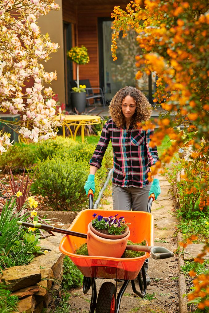 12 consejos de jardinería nunca saltados de maestros jardineros
