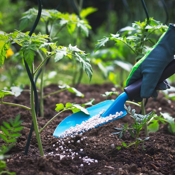 12 consejos de jardinería nunca saltados de maestros jardineros