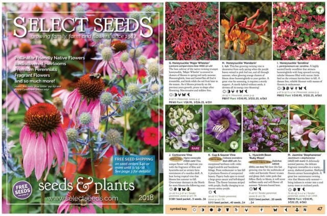 10 catálogos de semillas que todo jardinero necesita