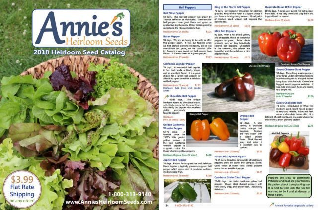 10 catálogos de semillas que todo jardinero necesita