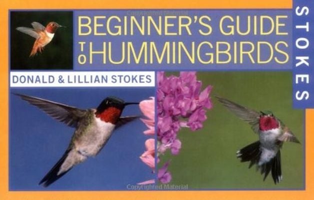 Nuestros libros favoritos de colibríes para observadores de aves