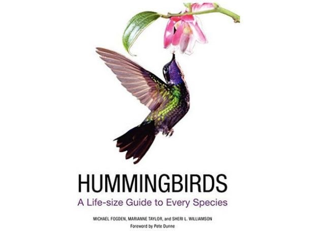 Nuestros libros favoritos de colibríes para observadores de aves