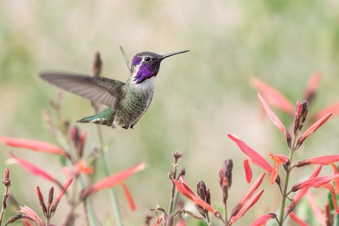31 fotos de pájaros otoñales que tienes que ver