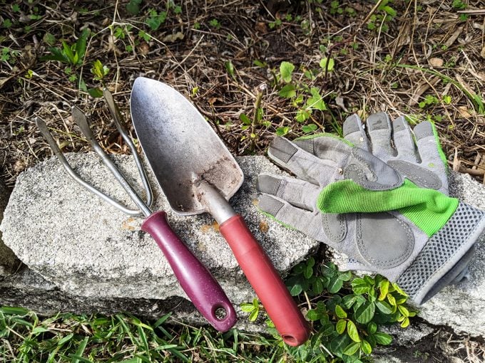 Organícese con las mejores ideas de almacenamiento de herramientas de jardín