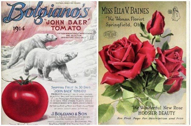 Catálogos de semillas vintage para manualidades y más