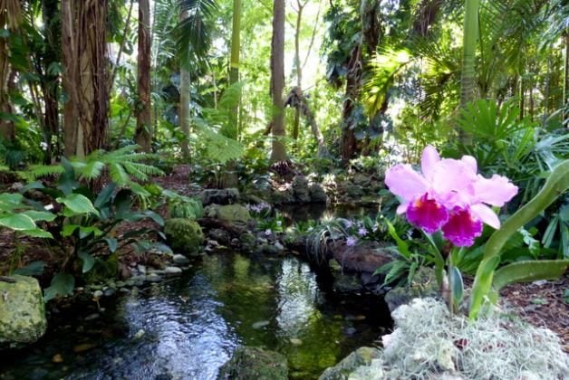 Una visita al Jardín Botánico Tropical de Fairchild
