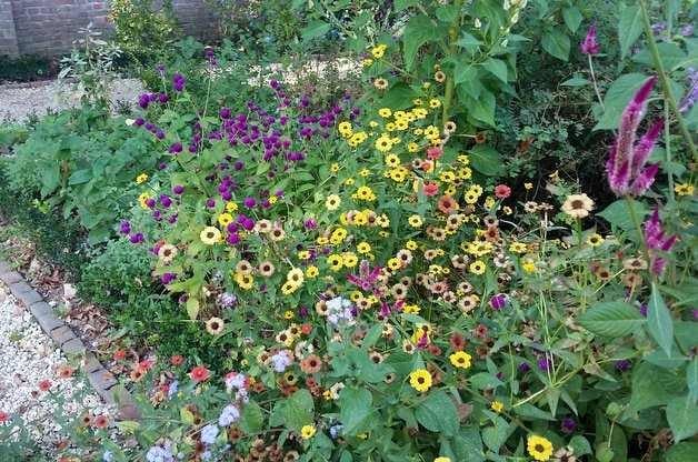 Jardines de flores en Mount Vernon