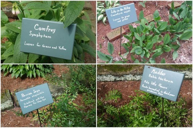 Un jardín de tintes de la historia | Jardinería de flores
