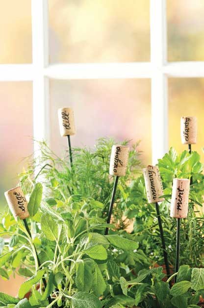 Marcadores de hierbas para jardín DIY | Proyectos de jardín de bricolaje