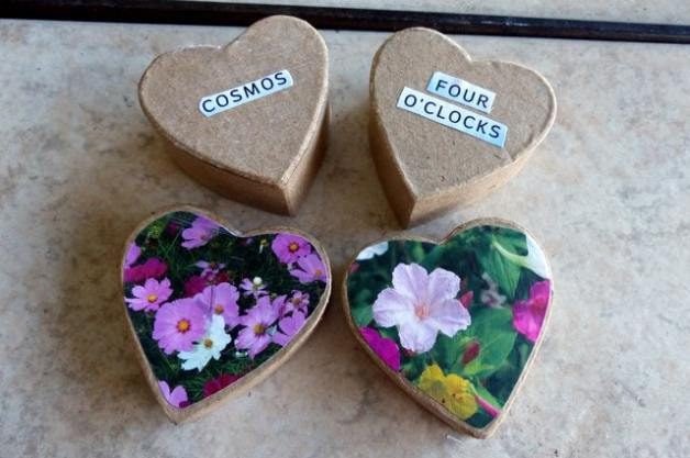 Proyectos de jardín de bricolaje | Mini caja de semillas regalos para el día de San Valentín