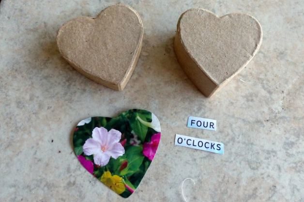 Proyectos de jardín de bricolaje | Mini caja de semillas regalos para el día de San Valentín