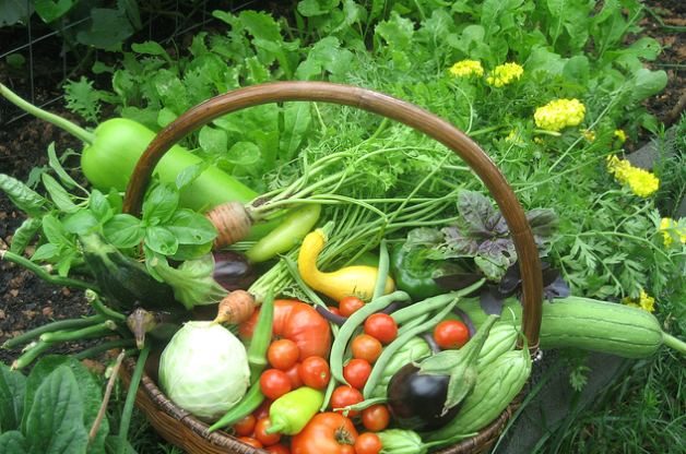 Resoluciones de jardinería mes a mes | Conceptos básicos de jardinería
