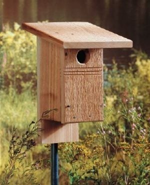 Cómo hacer una casa de bricolaje para pájaros azules