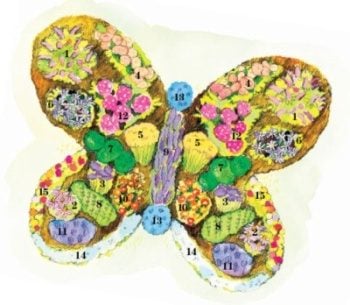 Diseños de jardín de mariposas anuales y perennes