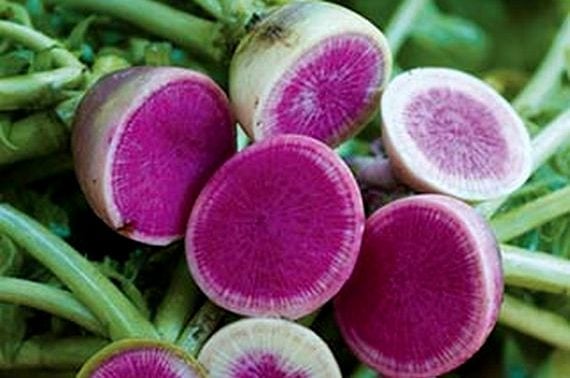 11 vegetales de diferente color