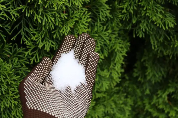 10 maneras de usar la sal de Epsom para su jardín