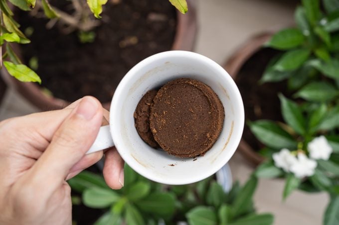 4 formas de usar café molido en el jardín