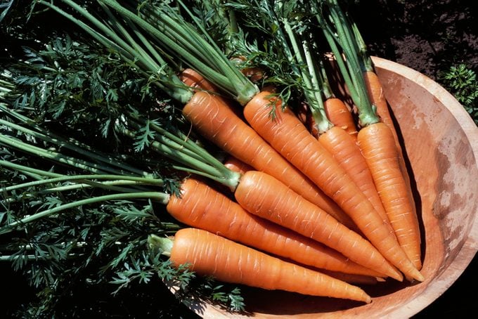 6 datos interesantes sobre las zanahorias que vale la pena conocer