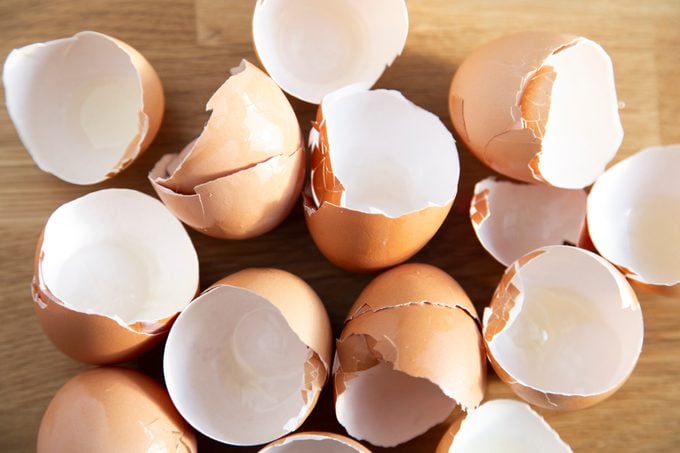 7 maneras de usar cáscaras de huevo en el jardín