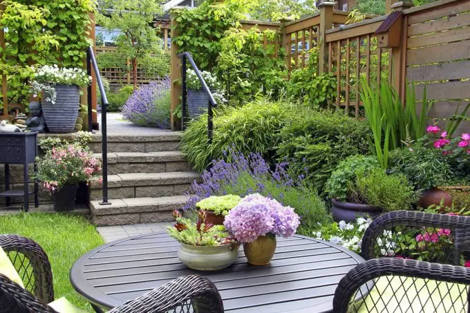 Atraiga colibríes a su pequeño jardín, terraza o patio