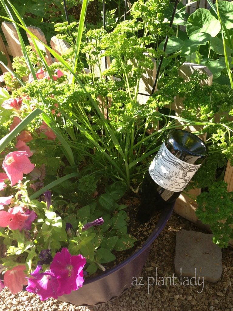 Botellas de riego para plantas de bricolaje - Pájaros y flores