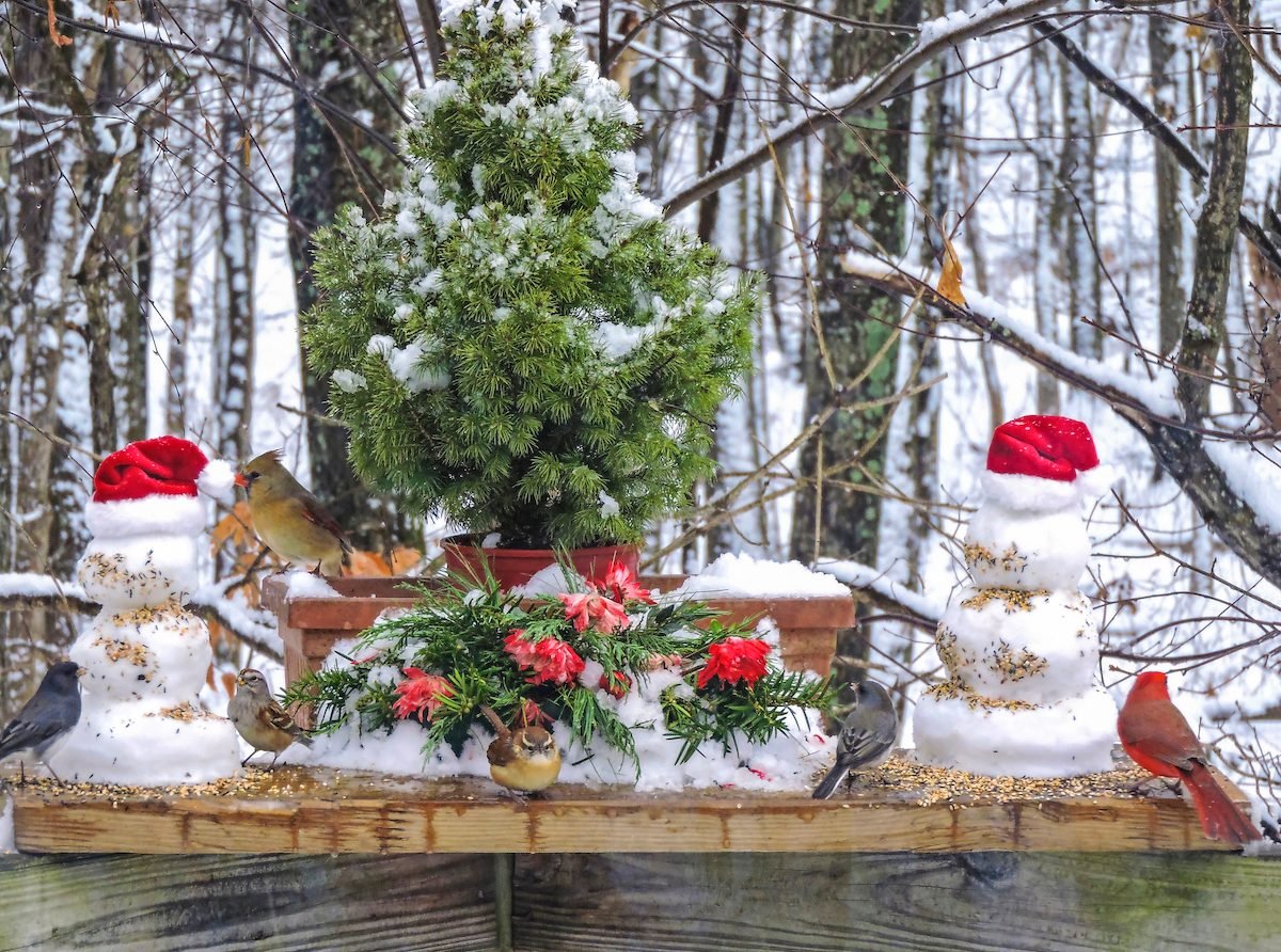 10 ideas creativas para reciclar tu viejo árbol de Navidad
