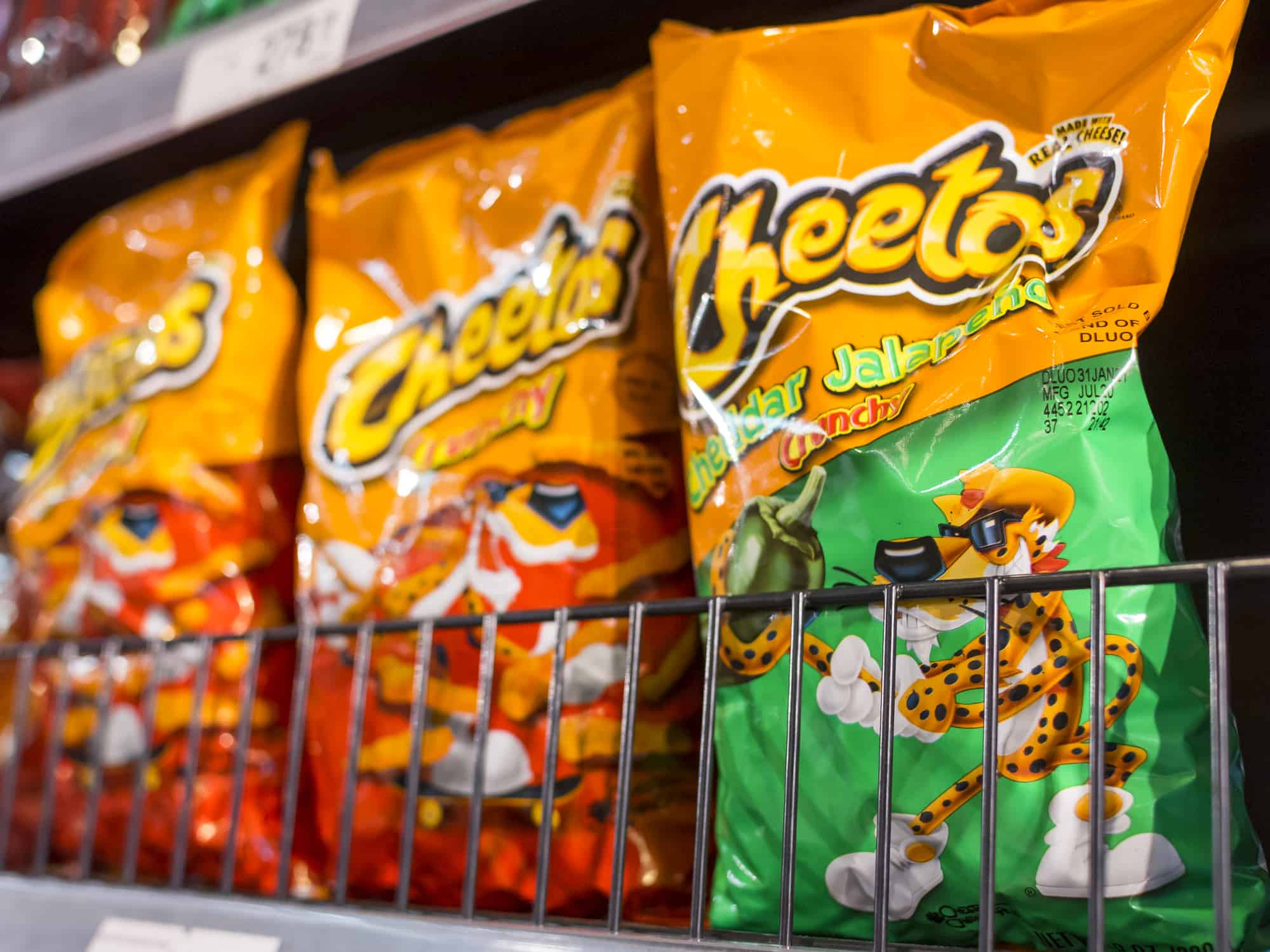 ¿Pueden los pájaros comer Cheetos? Todo lo que necesitas saber