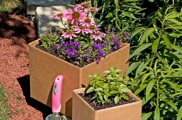 Ahorre dinero y recicle con jardinería de cartón