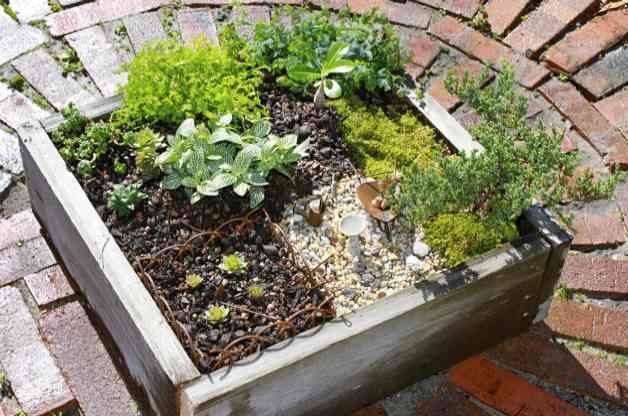Cómo hacer un mini jardín | Proyectos de patio trasero