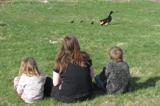 Cómo introducir a los niños a la observación de aves y la naturaleza