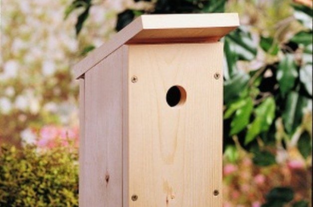 Construya una casita para pájaros de bricolaje de una tabla | Proyectos de patio trasero