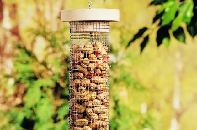 Alimentador de pájaros de bricolaje para cacahuetes | Proyectos de patio trasero