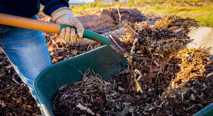 Limpieza de otoño: 8 tareas del jardín que nunca debe omitir