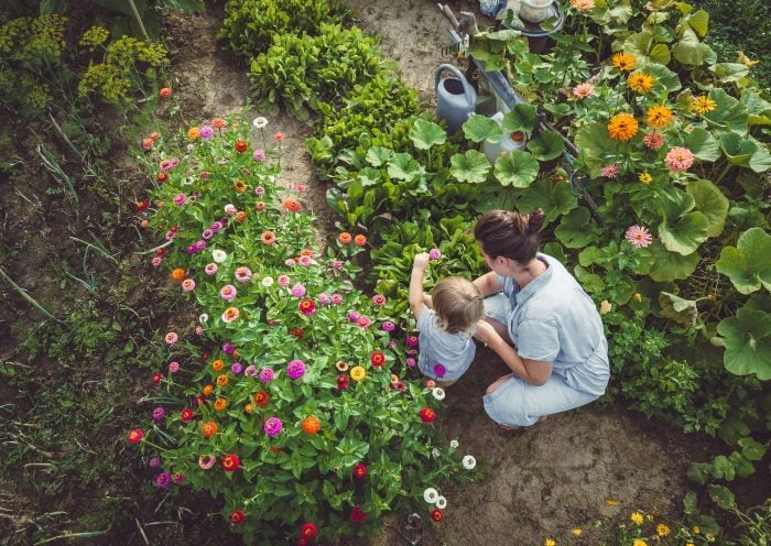 Cultive un jardín natural y libre de químicos