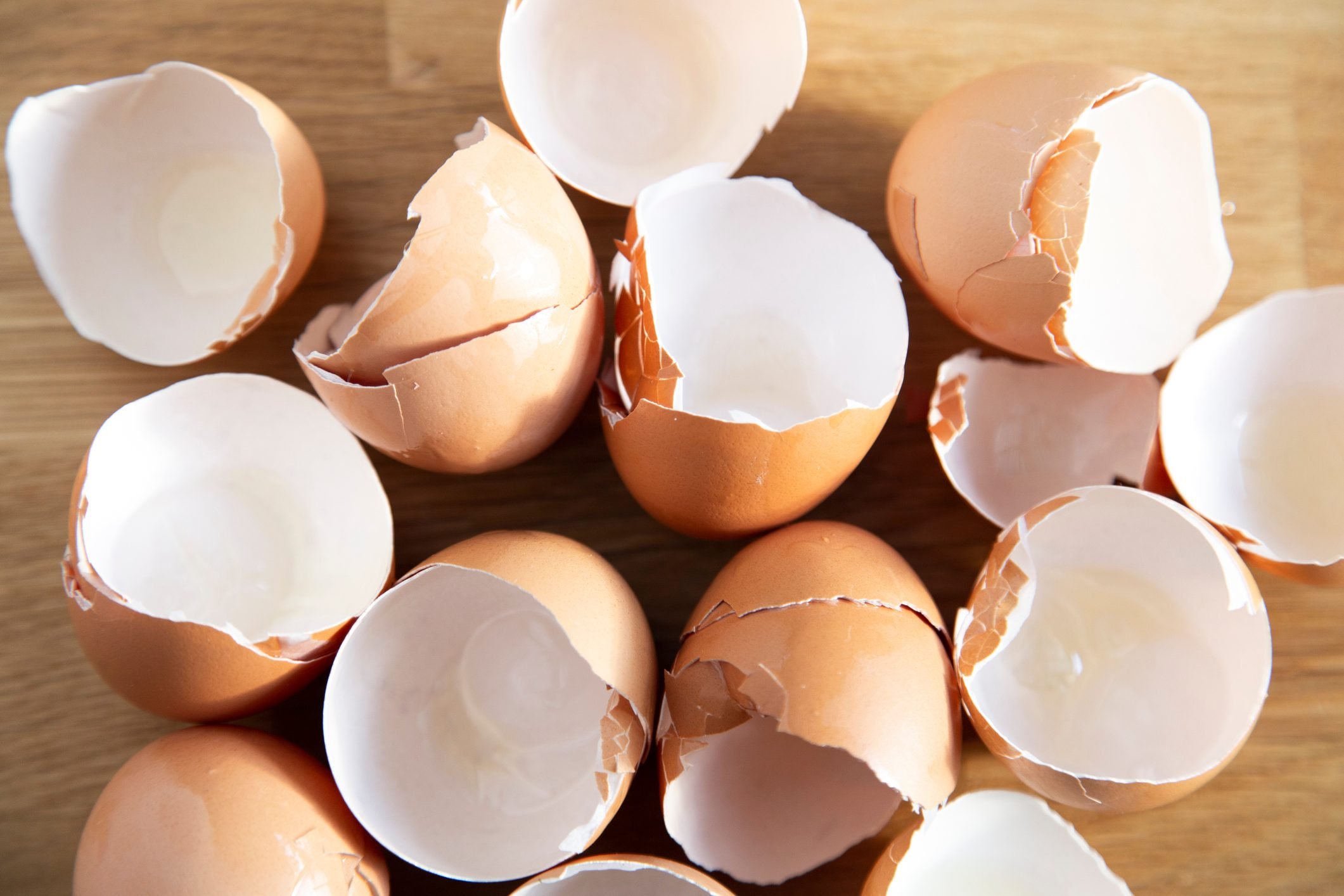 7 maneras de usar cáscaras de huevo en el jardín