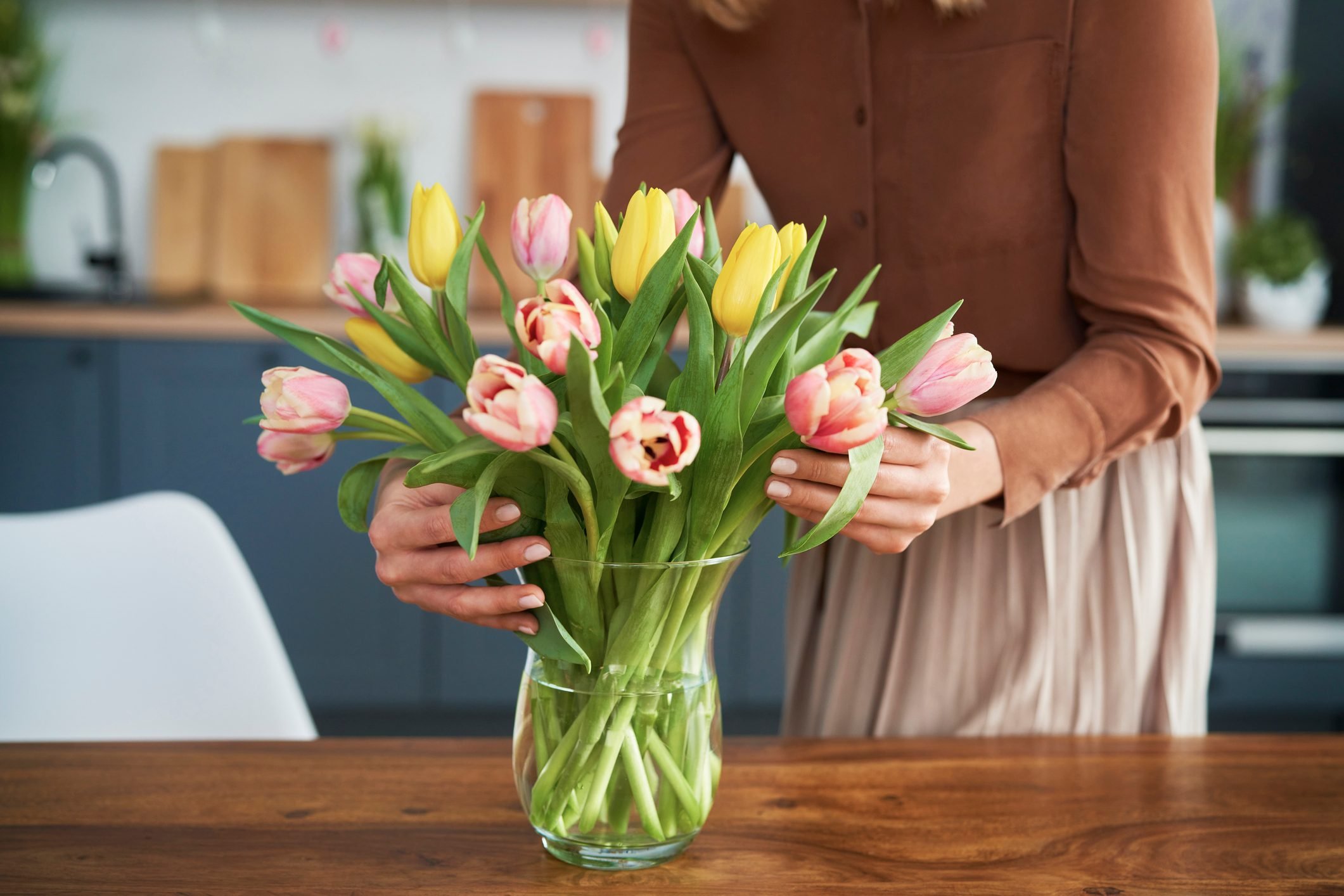¿Son las flores y los bulbos de los tulipanes tóxicos para los gatos?