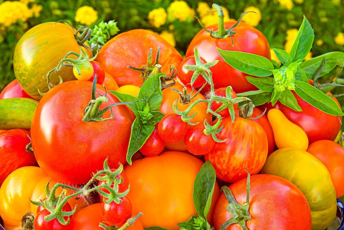 6 Maneras Geniales de Usar Tomates y Vegetales Extras