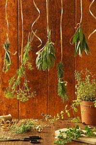 Guía para conservar y secar hierbas