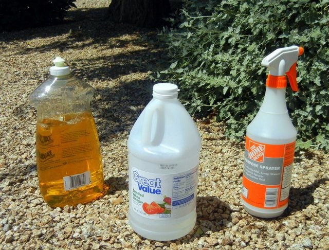Haga su propio herbicida con vinagre y jabón para platos