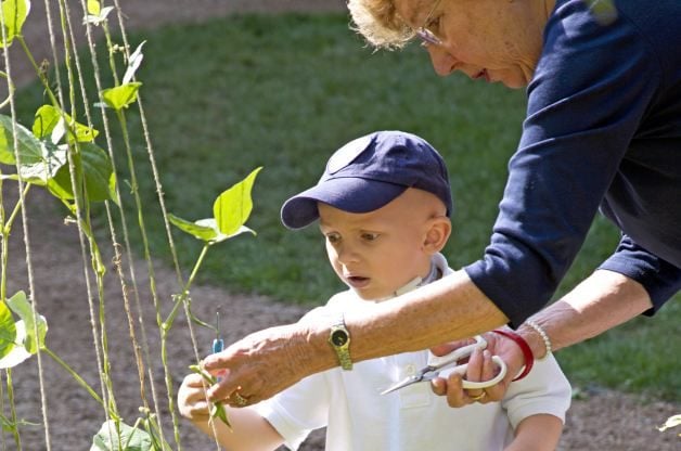 Plante un jardín curativo para la salud y el bienestar