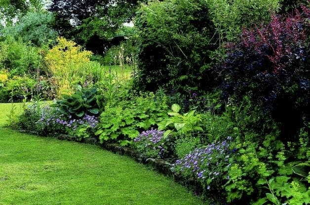 Jardinería | Jardinería de sombra | Ideas de jardín de sombra