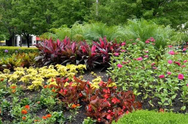 Jardinería básica: investiga las plantas antes de comprarlas