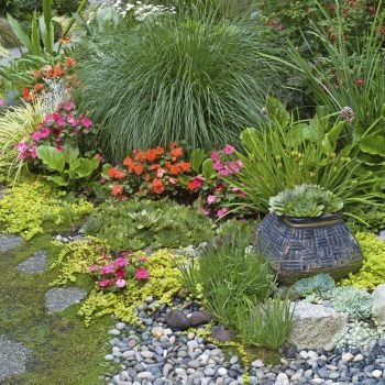 Jardinería de flores | construir un jardín de rocas
