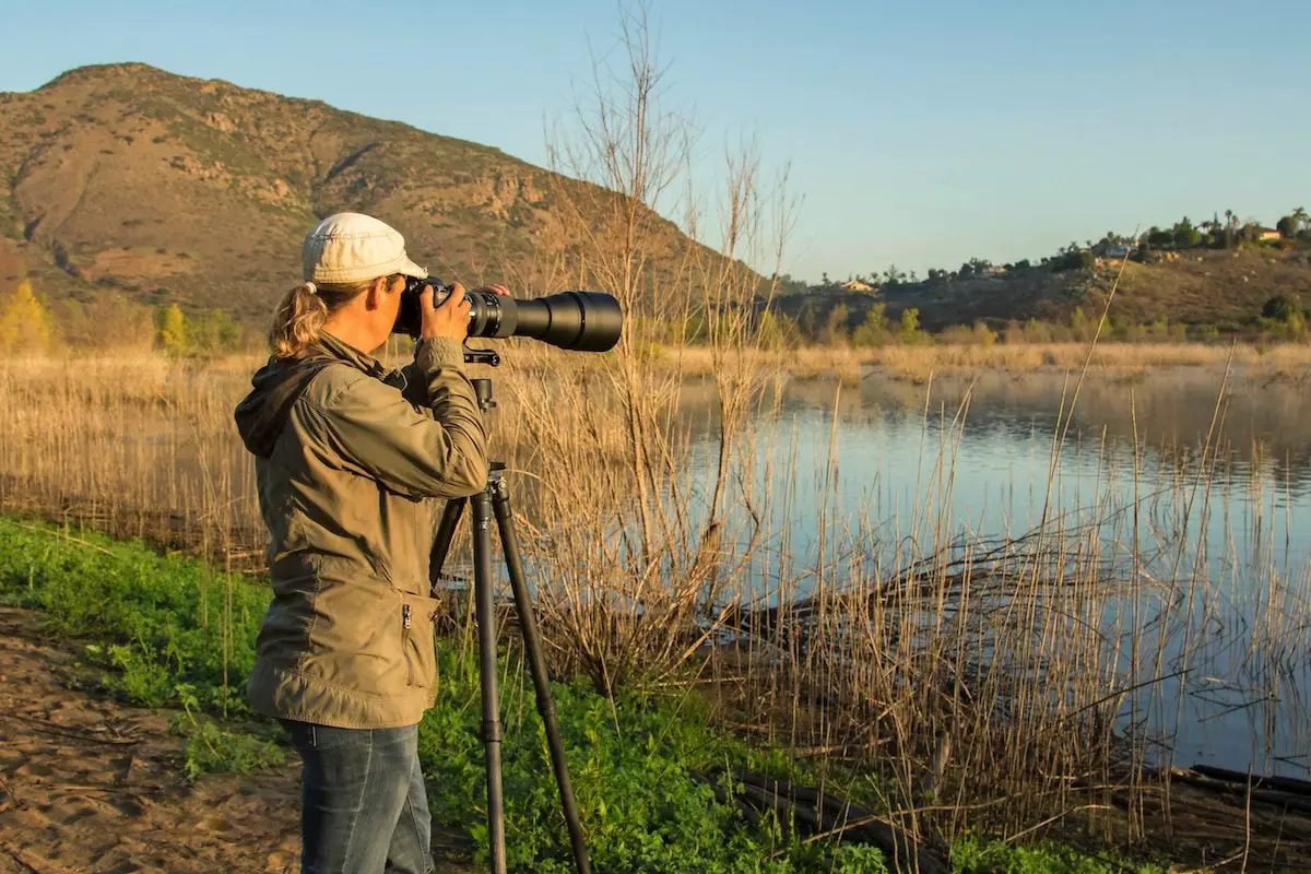 7 maneras de ser un mejor observador de aves