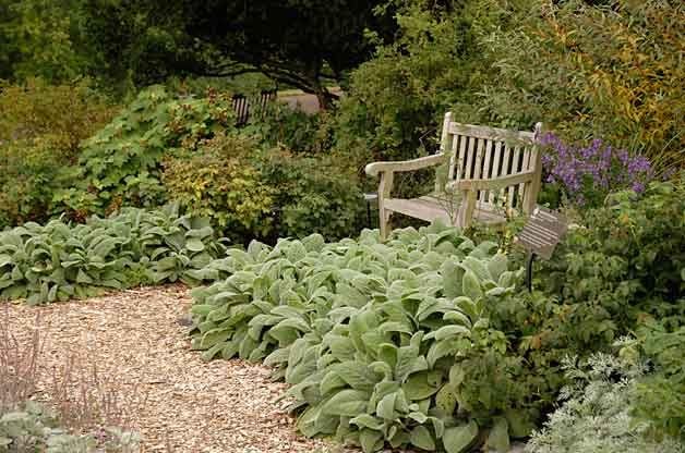 Ideas para cubrir el suelo | Jardinería Básica