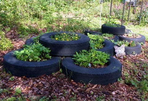 Patio trasero reciclado: Tire Gardens - Pájaros y flores