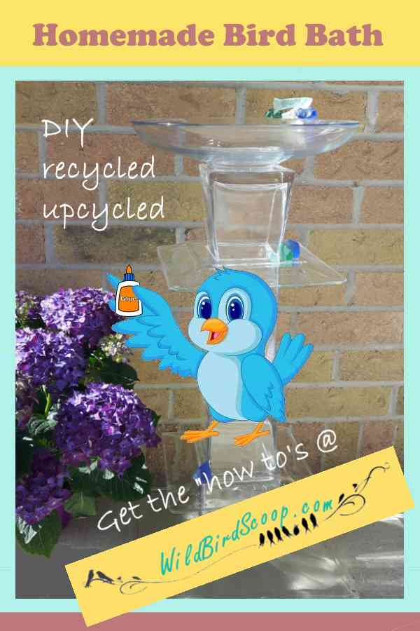 Plan de baño de pájaros casero para un baño de pájaros reciclado de vidrio reluciente