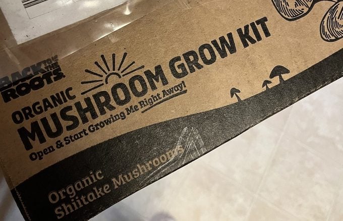 Probé un kit de cultivo de hongos shiitake
