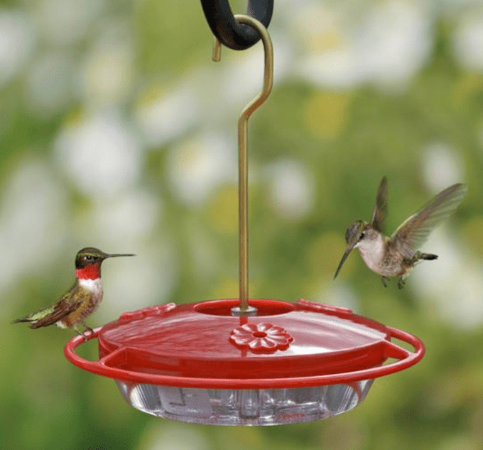 Selecciones de expertos para los mejores comederos para colibríes